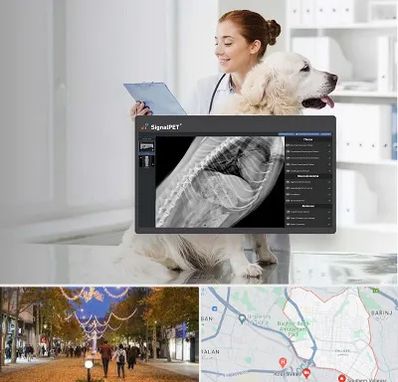 رادیولوژی حیوانات در ولیعصر ارومیه