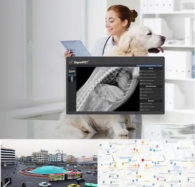 رادیولوژی حیوانات در میدان انقلاب 