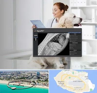 رادیولوژی حیوانات در کیش