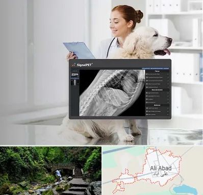 رادیولوژی حیوانات در علی آباد کتول
