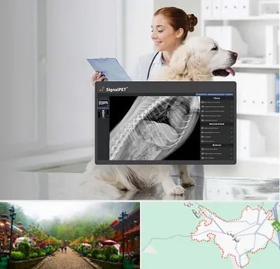 رادیولوژی حیوانات در فومن