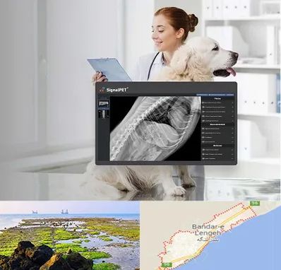 رادیولوژی حیوانات در بندرلنگه