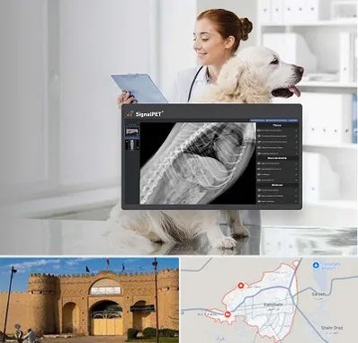 رادیولوژی حیوانات در ایرانشهر