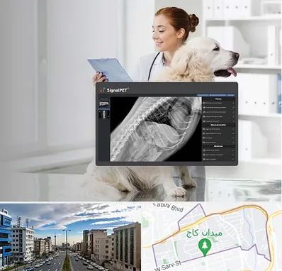 رادیولوژی حیوانات در سعادت آباد 