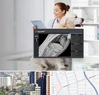 رادیولوژی حیوانات در خیابان بهشتی