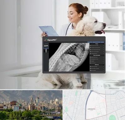 رادیولوژی حیوانات در جمشیدیه