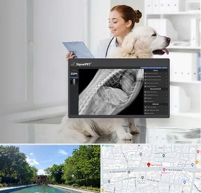 رادیولوژی حیوانات در هشت بهشت اصفهان