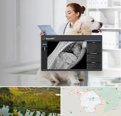 رادیولوژی حیوانات در بهبهان