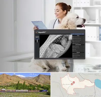 رادیولوژی حیوانات در خاش