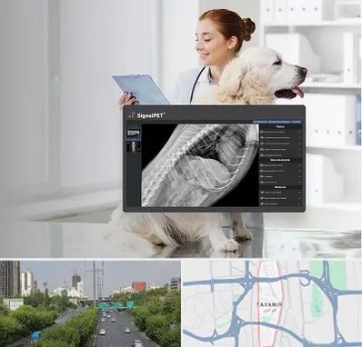 رادیولوژی حیوانات در توانیر