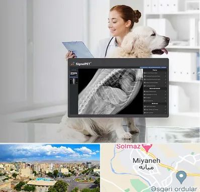 رادیولوژی حیوانات در میانه