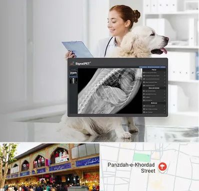 رادیولوژی حیوانات در 15 خرداد