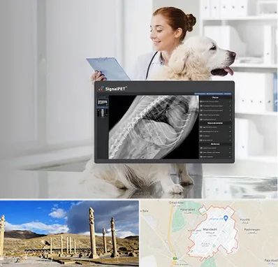 رادیولوژی حیوانات در مرودشت