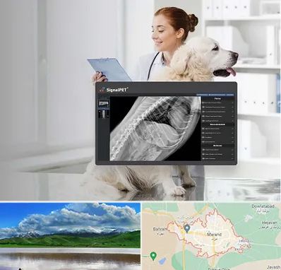 رادیولوژی حیوانات در مرند