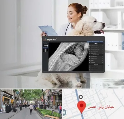 رادیولوژی حیوانات در ولیعصر شهریار