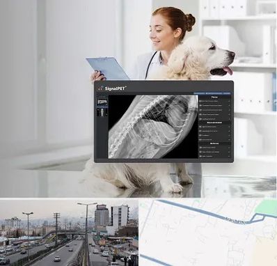 رادیولوژی حیوانات در بلوار ارتش