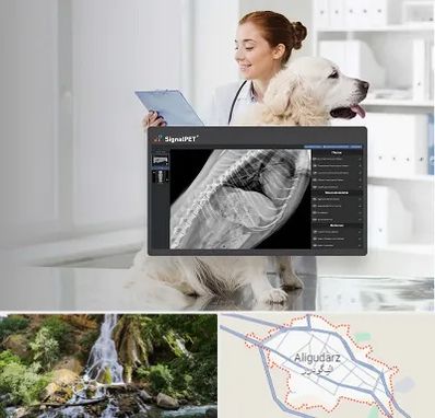 رادیولوژی حیوانات در الیگودرز