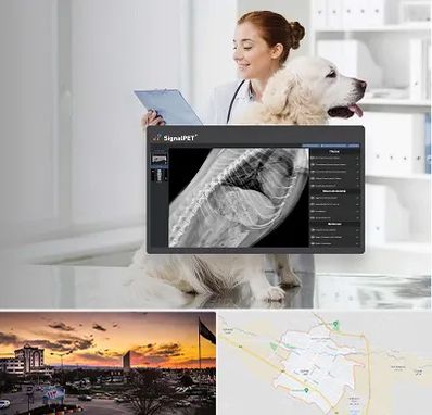 رادیولوژی حیوانات در قوچان