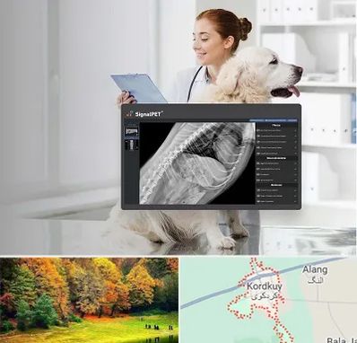 رادیولوژی حیوانات در کردکوی