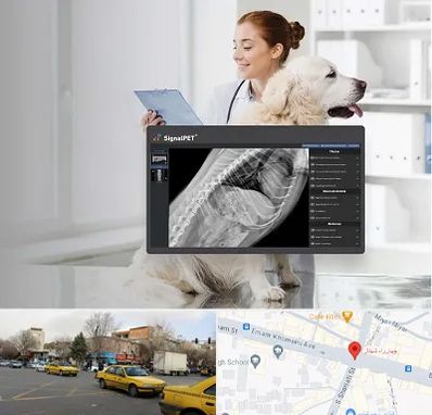 رادیولوژی حیوانات در شهناز تبریز