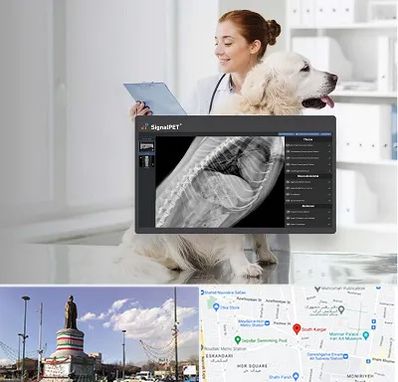 رادیولوژی حیوانات در کارگر جنوبی 