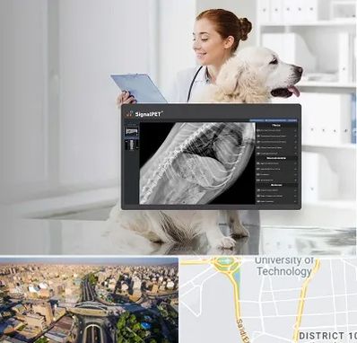 رادیولوژی حیوانات در استاد معین 