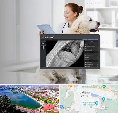 رادیولوژی حیوانات در لاهیجان