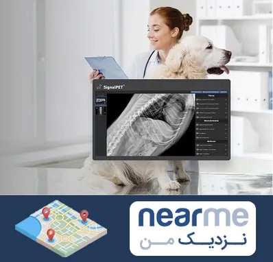 رادیولوژی حیوانات در نزدیک من