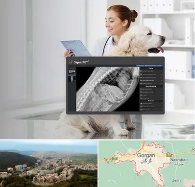 رادیولوژی حیوانات در گرگان