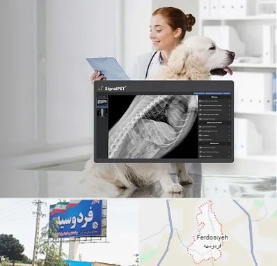 رادیولوژی حیوانات در فردوسیه شهریار