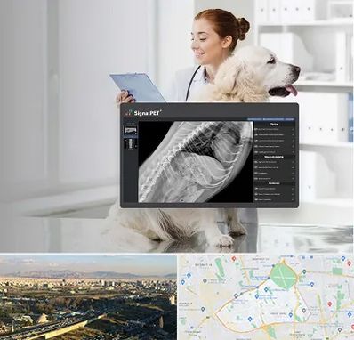 رادیولوژی حیوانات در منطقه 19 تهران 