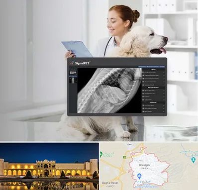 رادیولوژی حیوانات در برازجان