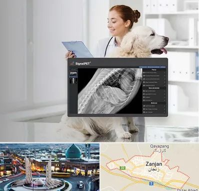 رادیولوژی حیوانات در زنجان