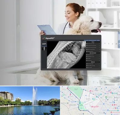 رادیولوژی حیوانات در کوهسنگی مشهد