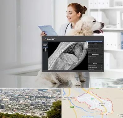 رادیولوژی حیوانات در یاسوج