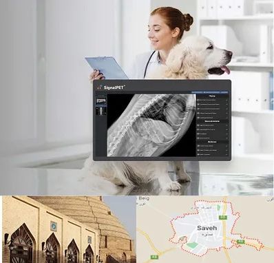 رادیولوژی حیوانات در ساوه