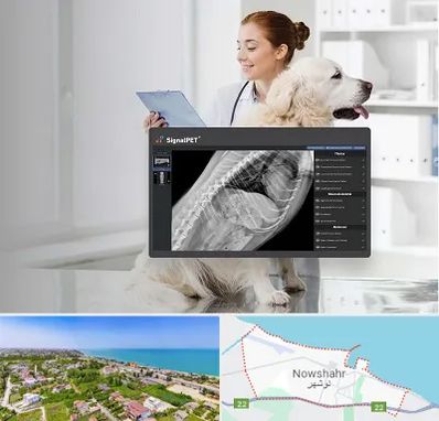 رادیولوژی حیوانات در نوشهر