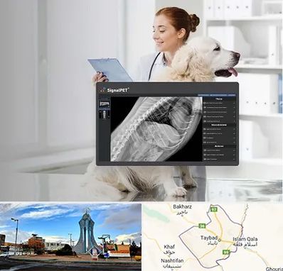 رادیولوژی حیوانات در تایباد