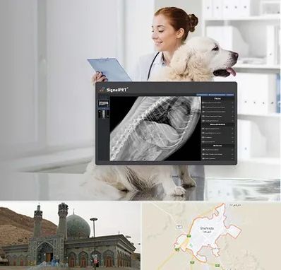 رادیولوژی حیوانات در شهرضا