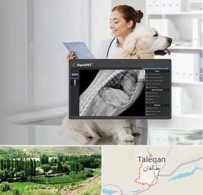رادیولوژی حیوانات در طالقان