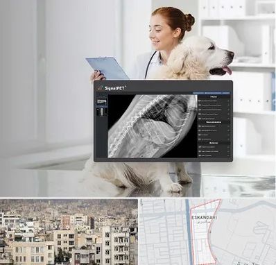 رادیولوژی حیوانات در اسکندری