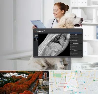 رادیولوژی حیوانات در منطقه 6 تهران 