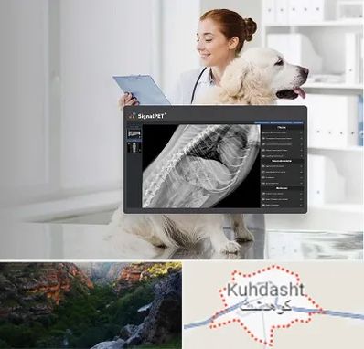 رادیولوژی حیوانات در کوهدشت