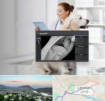 رادیولوژی حیوانات در لواسان