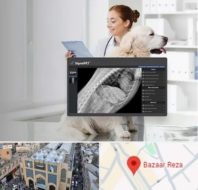 رادیولوژی حیوانات در بازار رضا مشهد