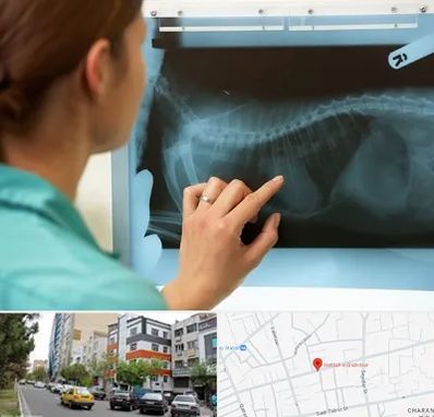 رادیولوژی پرندگان در هفده شهریور تبریز