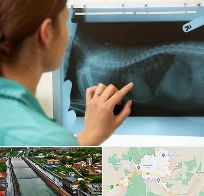 رادیولوژی پرندگان در مراغه