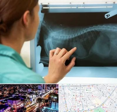 رادیولوژی پرندگان در منظریه رشت