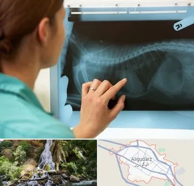 رادیولوژی پرندگان در الیگودرز