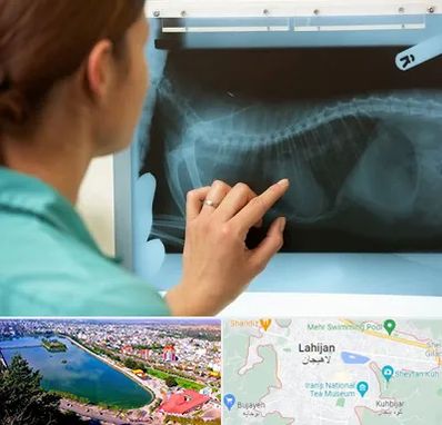 رادیولوژی پرندگان در لاهیجان